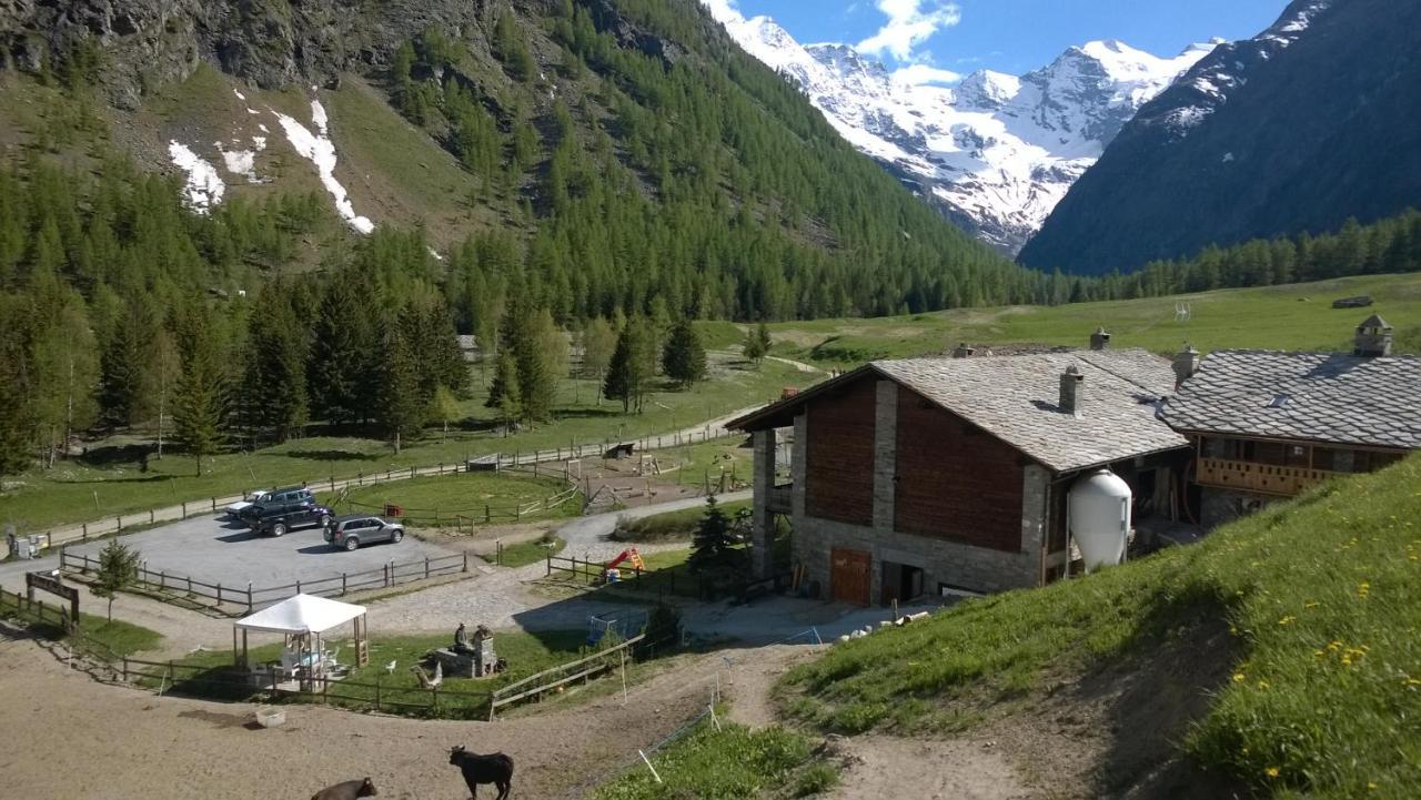 La Ferme Du Grand Paradis Cogne Buitenkant foto