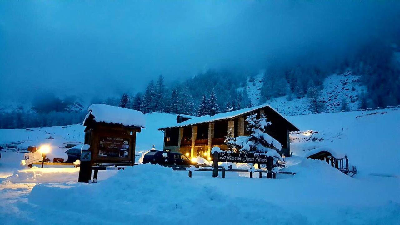 La Ferme Du Grand Paradis Cogne Buitenkant foto
